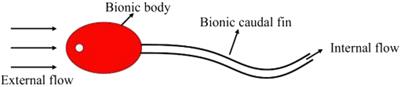 Dynamic analysis of an axially moving underwater pipe conveying pulsating fluid